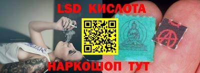 прущие грибы Кингисепп