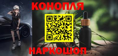 гашик Кимры