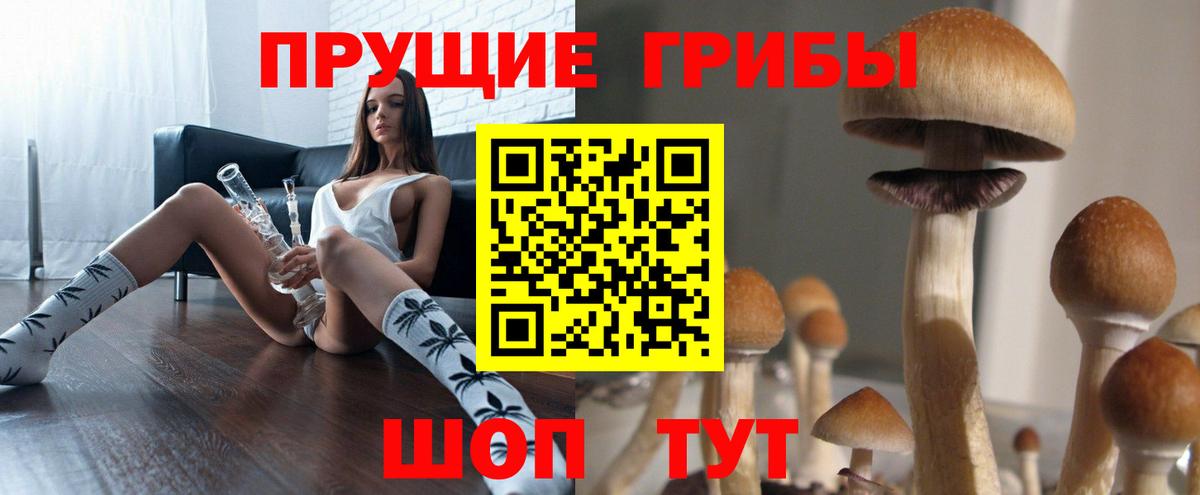 Псилоцибиновые грибы Psilocybine cubensis  Галлюциногенные грибы мицелий  где можно купить   Вход с VPN  Валуйки 